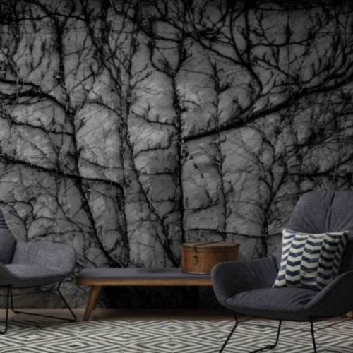 Trees on Concrete
