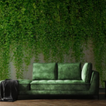 Hanging Plants