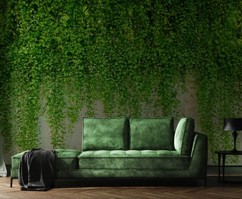 Hanging Plants