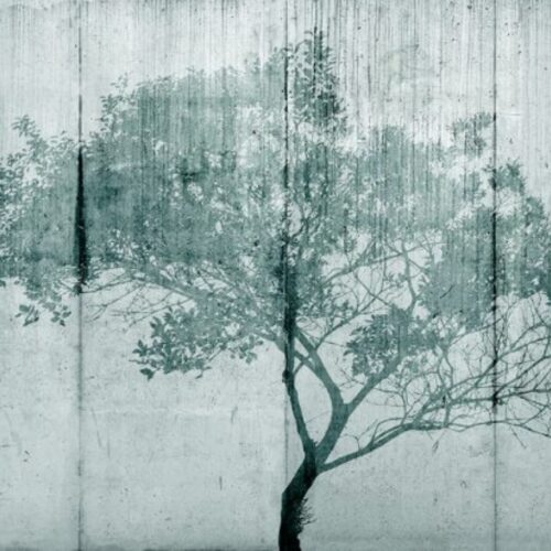 Concrete Tree Shade
