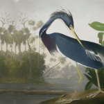 Blue Heron - Image 3