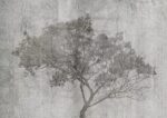 Shaded Tree with Concrete - Image 3