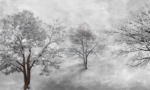 Frozen Snowy Trees - Image 3
