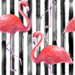 Black Stripes and Flamingos - Image 3