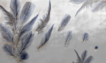Blue Floating Feathers - Image 2