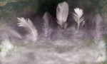 Fog Over Feathers with Concrete - Image 2