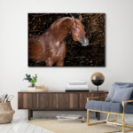 Painted Horse with Calligraphy
