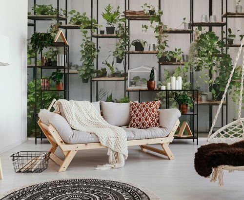 Watercoloured Plants on Shelvves