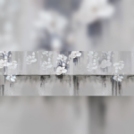 Flower spread - Image 3