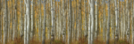 Autumn Trees - Image 3